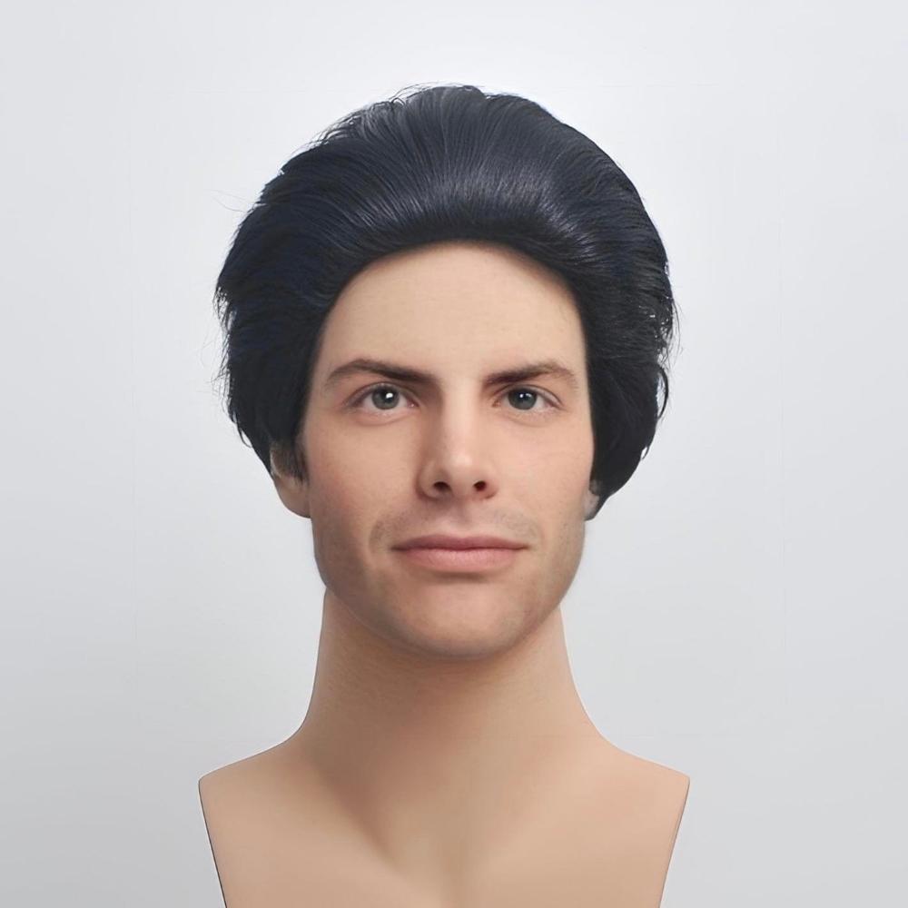 Men Rock N' Roll Elvis Wig Rock Star Elvis Black Wig 50's Slicked For Costume