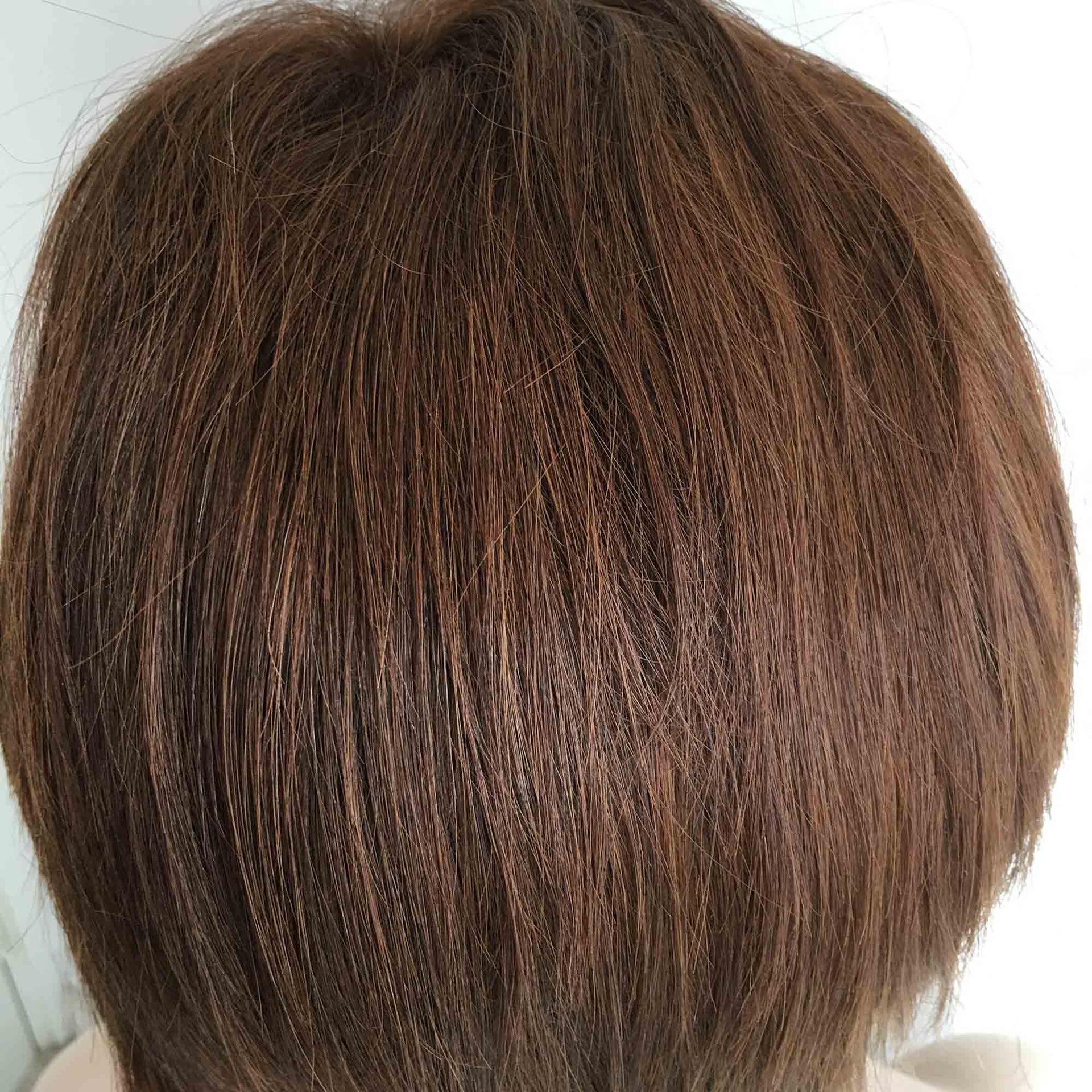 nevermindyrhead Brown Human Hair Wig For Women 13X6 Lace Front With Bangs Pixie Cut Short Straight Hair Side Part