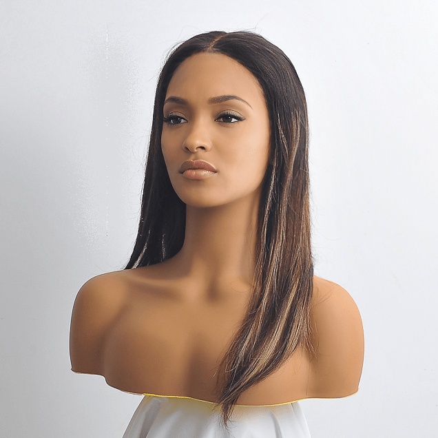 nevermindyrhead Women Natural Black Bronze Highlight Human Hair Lace Front Wig Long Straight Hair Middle Part 16 Inch