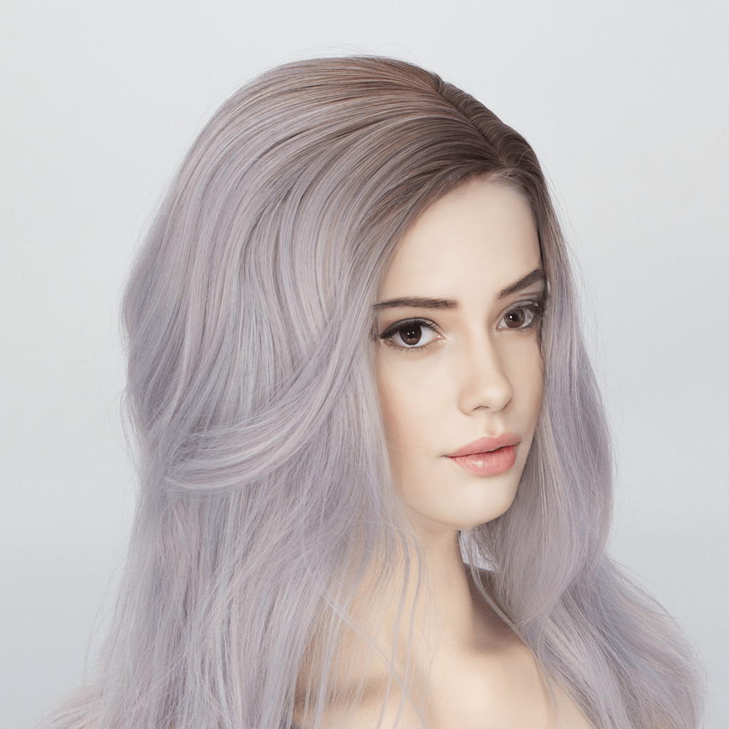 nevermindyrhead Women Silver Gray Ombre Dark Root Long Straight Hair Side Part Wig